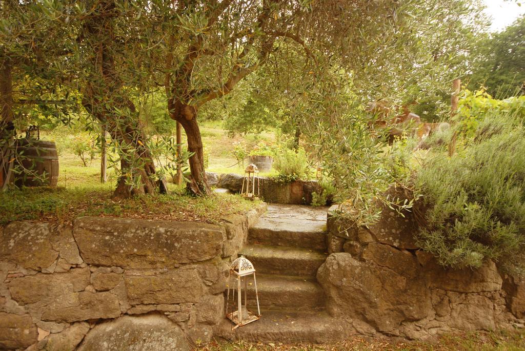 Pieve Di Caminino Historic Farm Villa Podere Caminino Luaran gambar